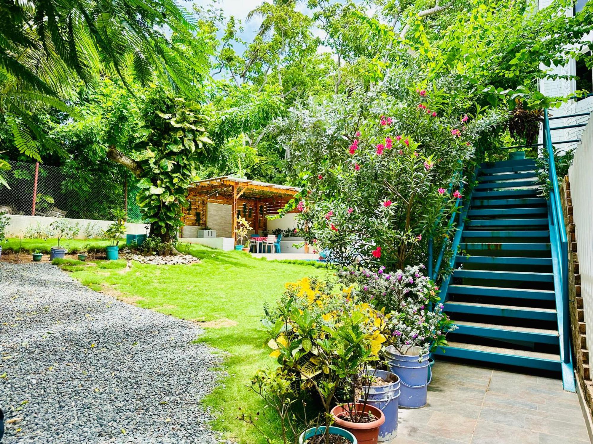 Palmare House Hotel San Andrés Екстериор снимка